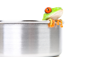 Like the frogs, local democracy may very well be dead before we are even aware of the threat to its well-being. Photo / Getty Images