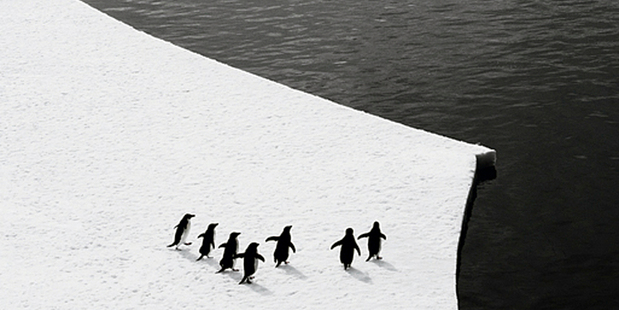 Gary Wilson sees Antarctica's role in climate science as "crucial". Photo / John Weller
