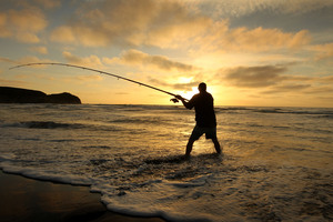 Snapper stocks in NZ's best fishing spots are below sustainable levels, fisheries officials say. Photo / Alan Gibson