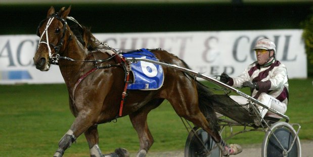 Anthony Butt was impressed by the Swedish trotters when campaigning Lyell Creek. Photo / Paul Estcourt
