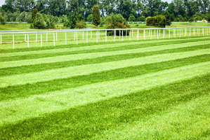 Horseracing track. Photo / Getty Images