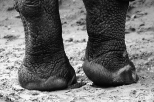Photo / Thinkstock
