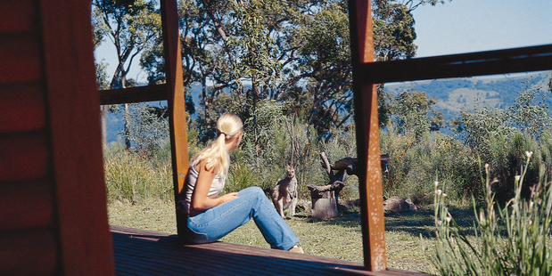 Kangaroos and other wild animals are able to go about their business at Eaglereach Wilderness Resort.