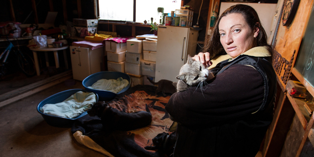 Megan Busch lives in a garage with her four cats and two dogs. Photo / Michael Craig