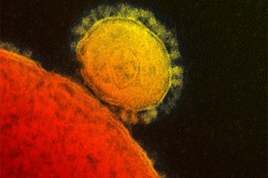 Mers has claimed 38 lives and there are pandemic fears. Photo / AP