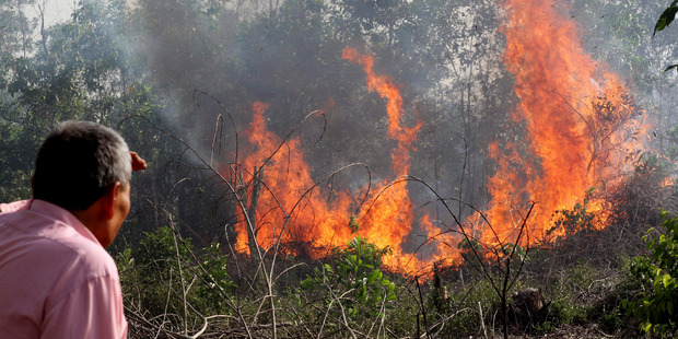 A man looks at a fire as it burns through a peatland forest in Rumbai Pesisir, Riau province, Indonesia. Photo / AP