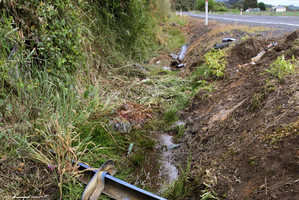 George Porter's body was left in this drain at the scene of a fatal car crash east of Opotiki, after emergency services left the scene.