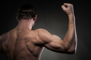 Strong shoulders have allowed humans to kill prey by hurling spears or rocks.Photo / Thinkstock