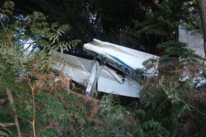 The pilot of this plane walked away with minor injuries. Photo / Robert Forrest