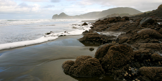 Wild, rugged and beautiful Bethells Beach, on Auckland's west coast. Photo / The Aucklander
