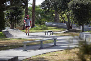 Parks, recreation and heritage chairwoman Sandra Coney said the Unitary Plan was extremely weak about identifying land for future open space. Photo / Natalie Slade