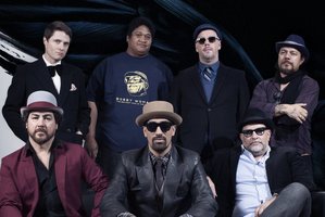 Wellington's Fat Freddy's Drop sound more assured than ever on their third record blackbird.