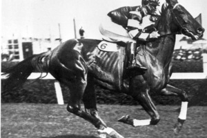Phar Lap. File photo / NZ Herald