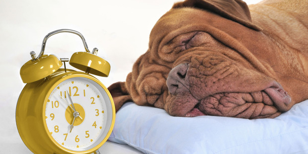 Photo / Thinkstock