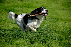 Photo / Thinkstock