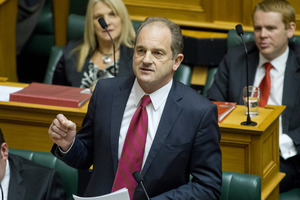Labour Party leader David Shearer says he has the full support of his party. Photo / Mark Mitchell