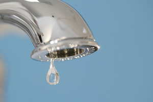 The poll showed 48 per cent of New Zealanders supported the addition of fluoride - double the 25 per cent of those who opposed its use.