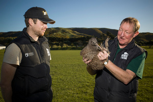 Conservation Minister holds the rowi chick before it is transferred to Mana Island. Photo / Peter Wiezoreck