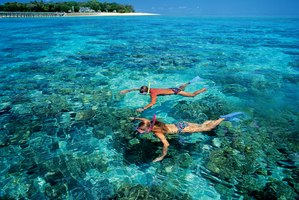 Snorkelling at Green Island is a drawcard for tourists in northern Queensland.