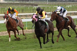 Little Alfie Brown, pink hood, will be hoping to add the Taumarunui Gold Cup to his Te Awamutu Cup success.