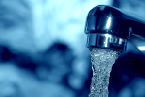 Photo / Thinkstock