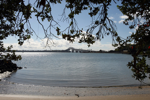 Watercare promises 80 per cent reductions in raw sewage and polluted stormwater overflowing into the Waitemata Harbour when it rains. Photo / Dean Purcell