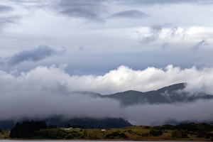 A view across the northern side of the Hokianga. File Photo / The Listener