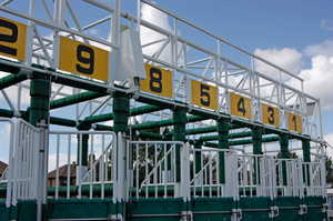 Standard Bearer's only other start was his debut at Rosehill. Photo / Thinkstock