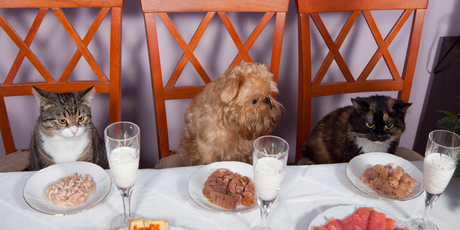 File photo / Thinkstock