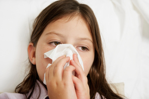 Photo / Thinkstock