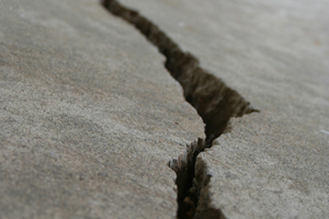 Photo / Thinkstock