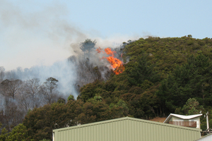 Fire along the ridge at Ostend, Waiheke, which threatened homes and the Stonyridge Vineyard. Photo by Stuart Weekes,