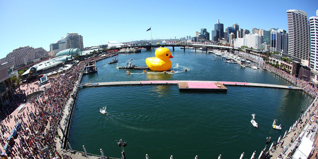 Dutch artist Florentijn Hofman's Giant Rubber Duck sails into Sydney Harbour. Photo / AP