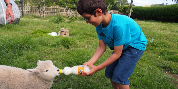 Within an instant of arriving at a Coromandel farm holiday, city kids are having fun. Photo / Supplied