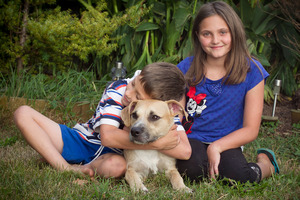 Kirsten and Jason Horscroft with their new dog Milly, who they adopted from the SPCA Auckland. Photo / NZ Herald
