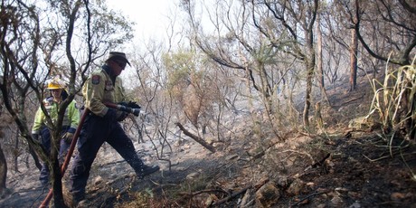 Firefighters attack a scrub fire which threatened homes on Waiheke Island. Photo / Roger Whitehead