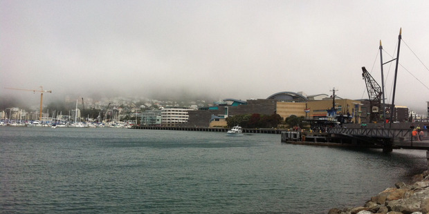 Low cloud over Wellington airport again caused delays for travellers. Photo / Paul Harper