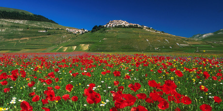 Photo / Stefania Servili, Castelluccio