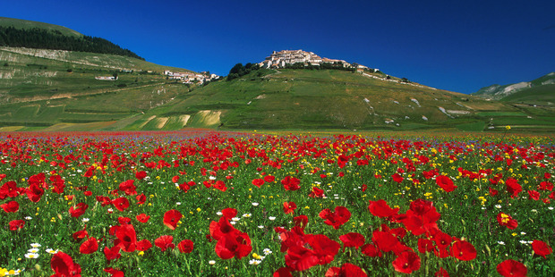 Photo / Stefania Servili, Castelluccio