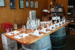 A tasting bar awaits you at Peacock Sky Vineyard, as does vineyard dog, Sky