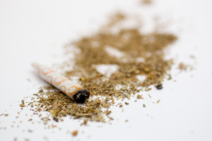 Protesters plan to march against the testing of legal highs on animals.