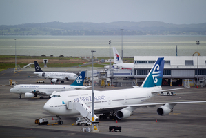 Photo / NZ Herald