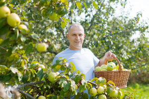 Australian Green party announces way for consumers and farmers to bypass supermarkets. Photo / Getty Images