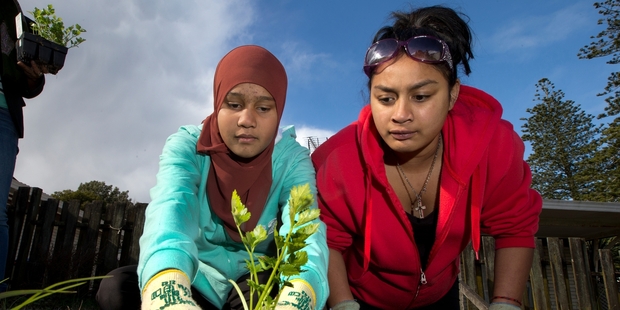 Fatima Jacobs (left) and Sophie Edwards are two of the teenage mothers learning to grow vegetables. Photo / Brett Phibbs