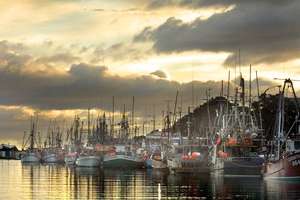 The fishing quota owners make their money from sales of annual catch entitlements. Photo / APN