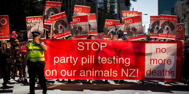 People protesting against the Psychoactive Substances Act in Auckland. Photo / Sarah Ivey
