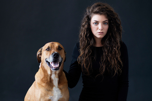 Lorde will take the stage at Splendour in the Grass