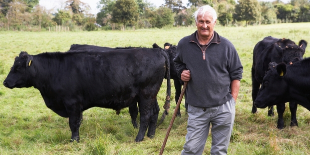 Where does the grass grow greenest for a retired farmer? Photo / Getty Images