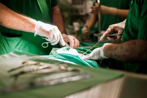 Photo / Thinkstock