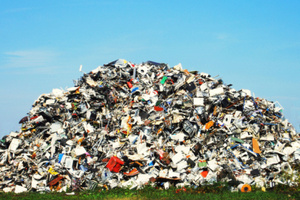 Photo / Thinkstock